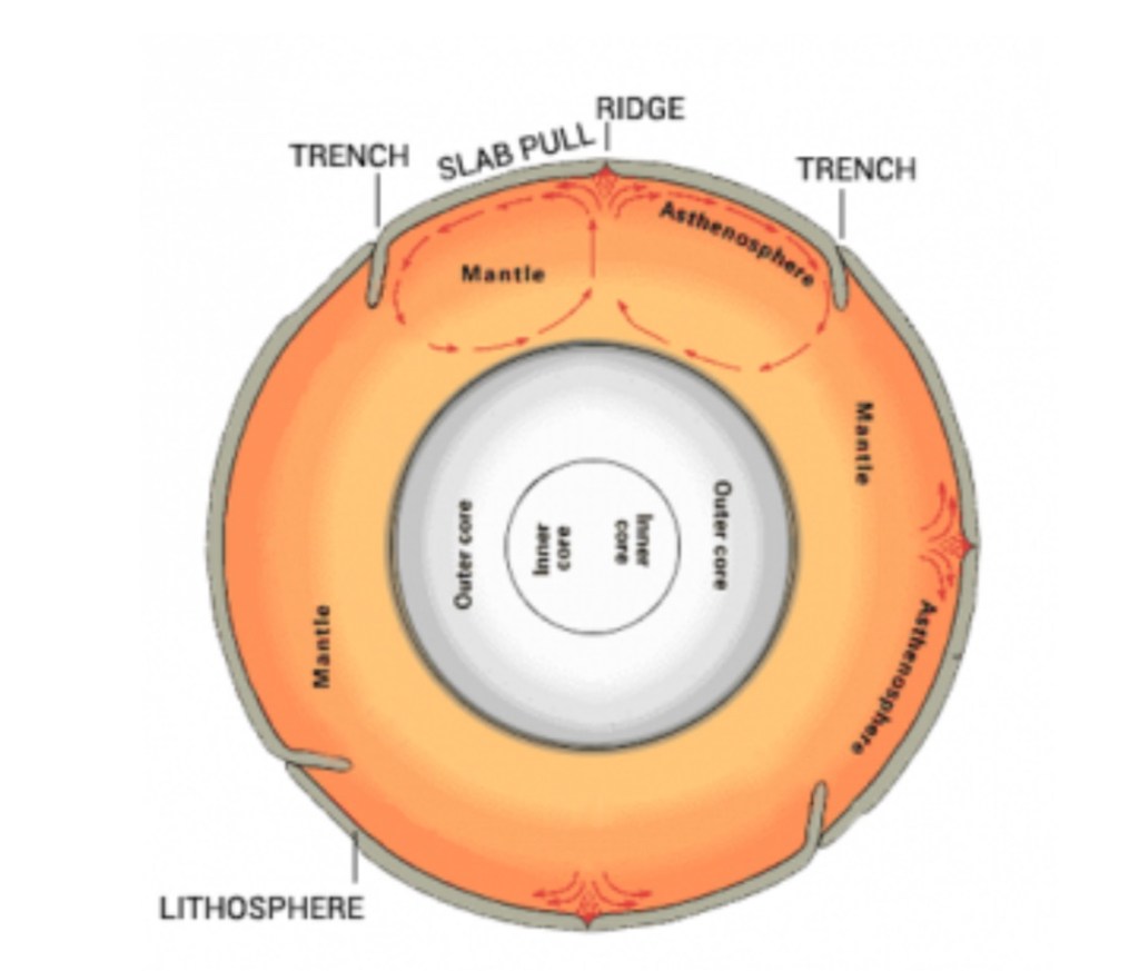 Deep Dives into Natural Convection: Mantle Convection and Rayleigh-Bénard&nbsp;convection