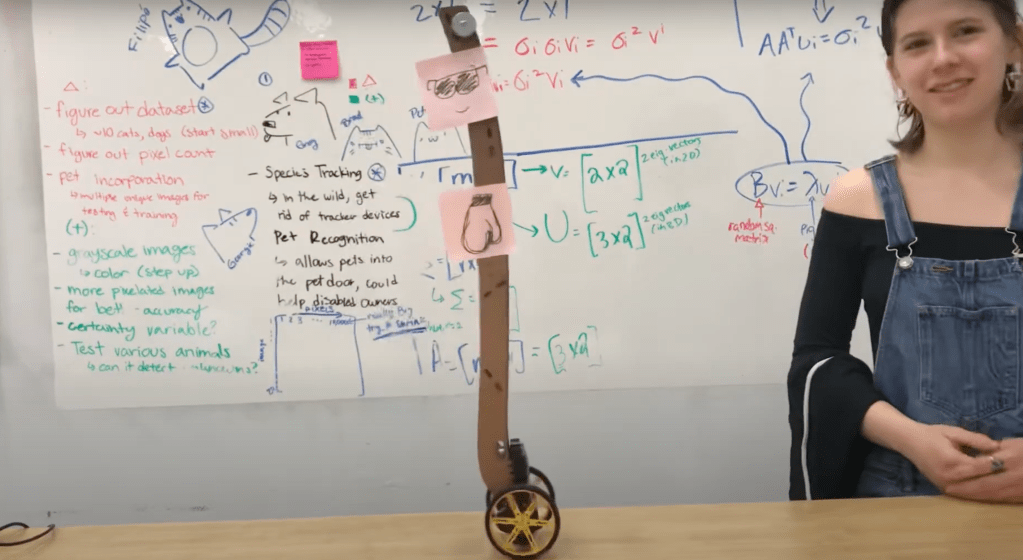 Rocky – Inverted&nbsp;Pendulum